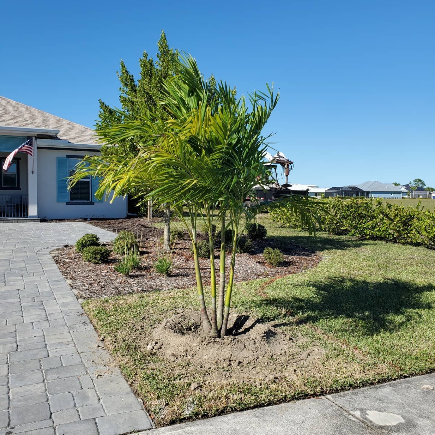 A house with a palm tree in front of it