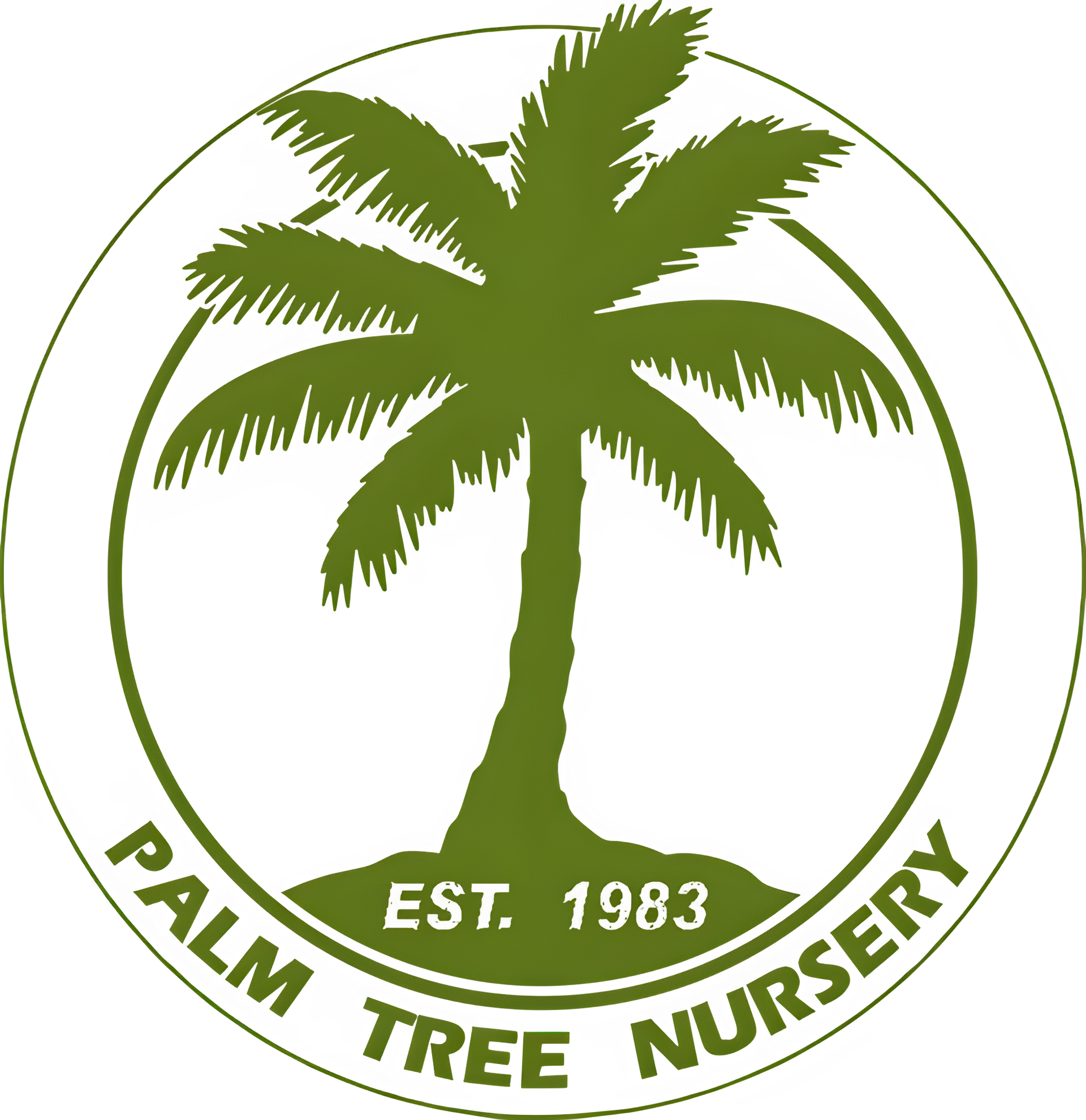 Palm Tree Nursery Logo