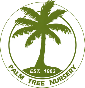 Palm Tree Nursery Logo