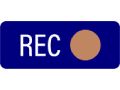 Blue REC button with white text and a tan circular record indicator