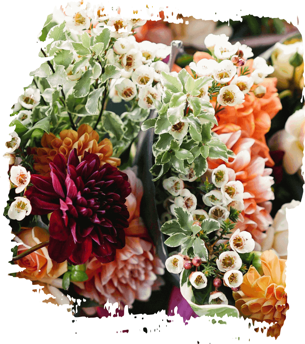 Assorted colorful flowers in a close-up floral arrangement with white, orange, pink, and burgundy blooms