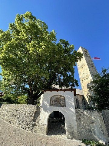St. Martin Kirche Mals im Vinschgau Greilhof