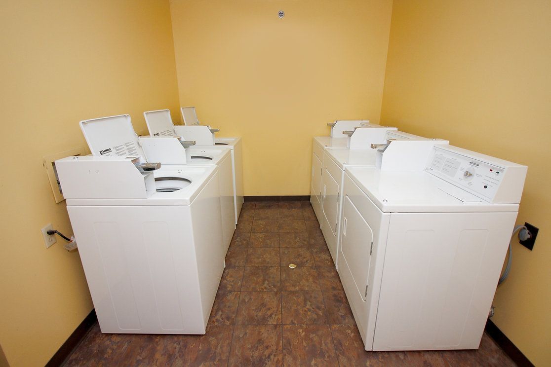A laundry room with a row of white washers and dryers.