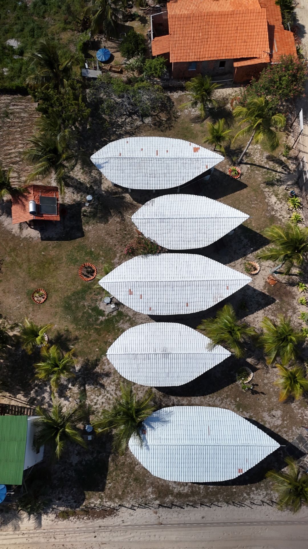 Vista aérea de cinco edifícios brancos em forma de folhas com palmeiras e outras estruturas ao redor.