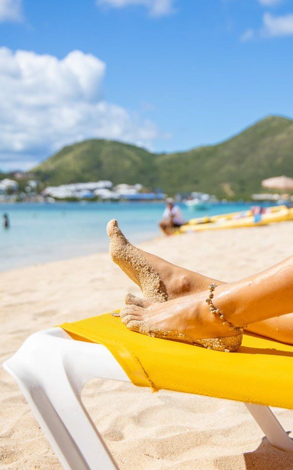 A lizard is sitting on top of a plastic container.