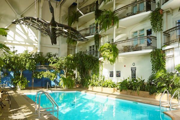 Piscine intérieure avec végétation luxuriante, balcons et une grande installation artistique suspendue au-dessus.