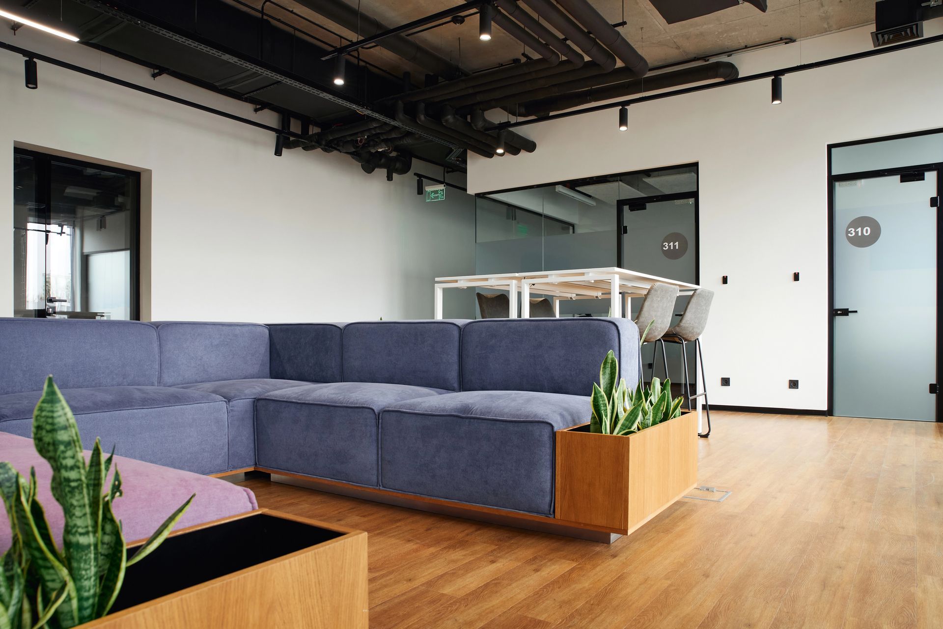 Modern office lounge with a blue sectional sofa, wooden floors, and potted plants.