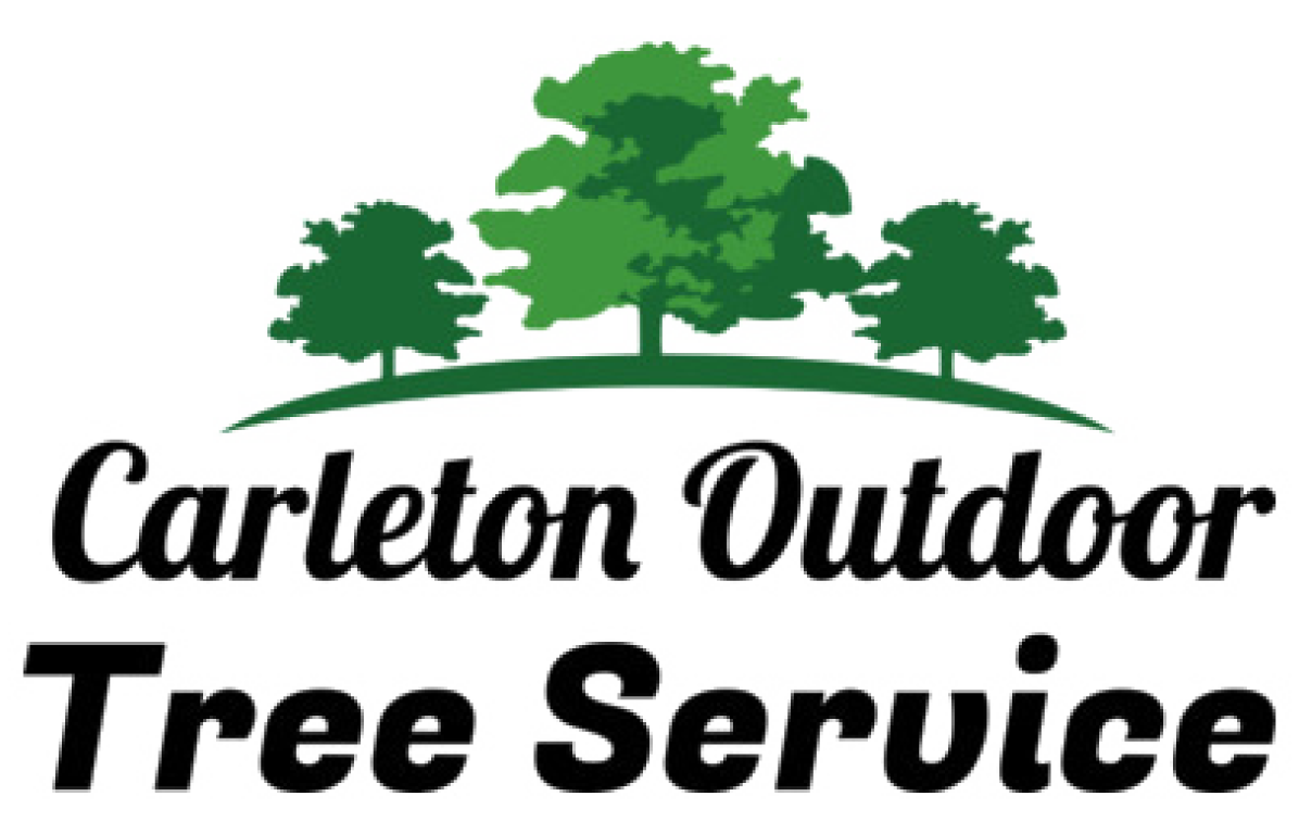 Carleton Outdoor Tree Service