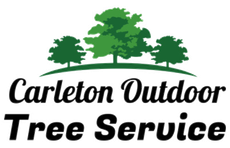 Carleton Outdoor Tree Service