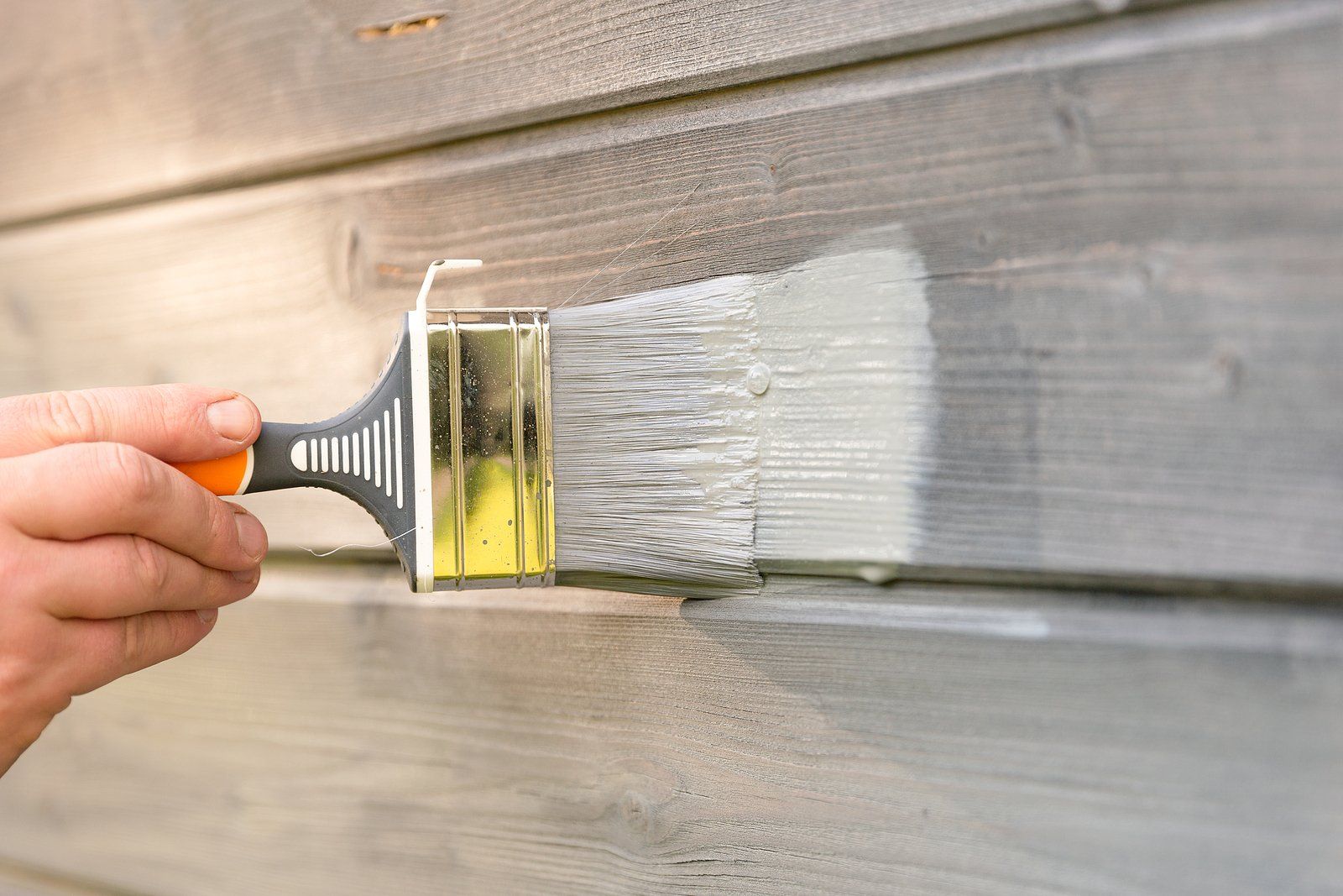 Painting Services Near Me