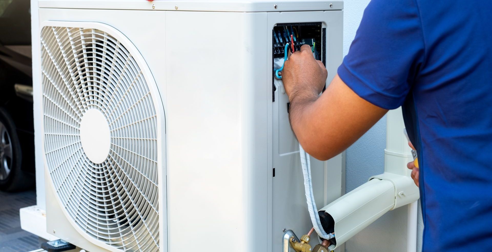 Jellyfish in a blue aquarium, bodies are pink and tan with trailing tentacles.