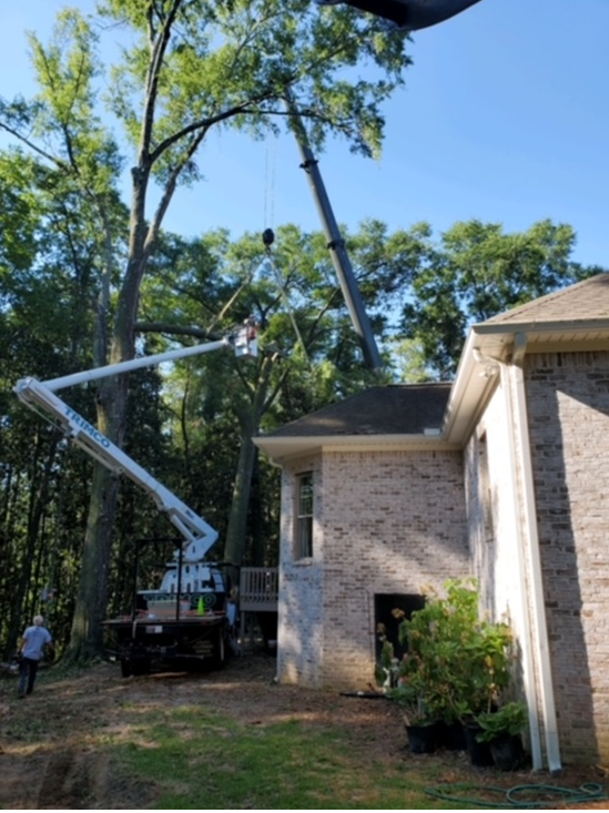 A tree is being trimmed near a house with a crane. A worker is in a lift basket.