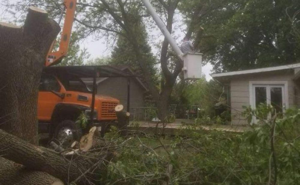 A truck is cutting down a tree in front of a house.