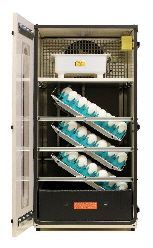 Opened 1502 Incubator — Morganton, NC — Belle Farm