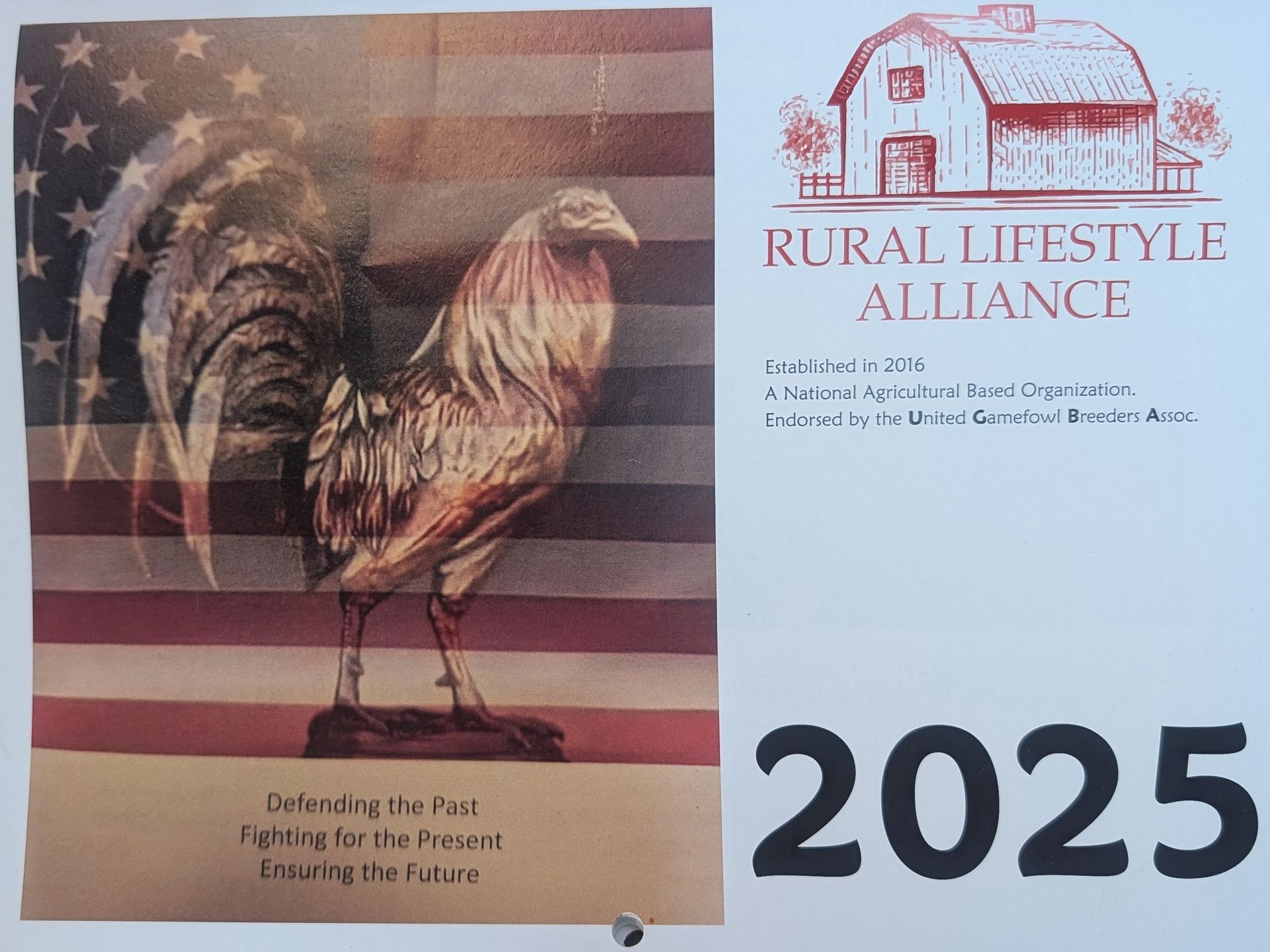 A calendar with a picture of a rooster and the year 2025