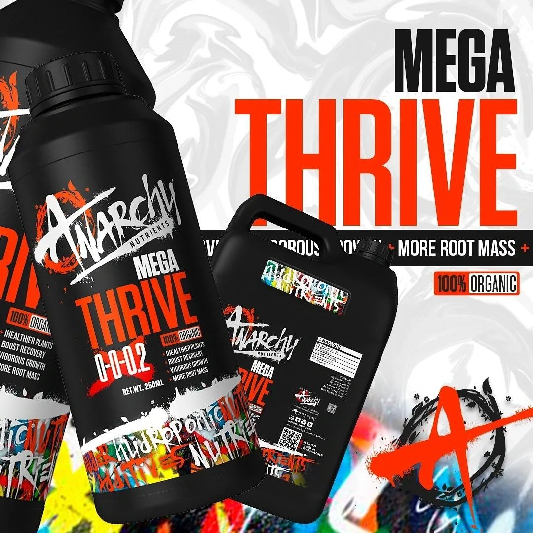 A Bottle of Mega Thrive is Sitting Next to a Bottle of Mega Thrive — Wide Bay Hydroponics In Bundaberg, QLD