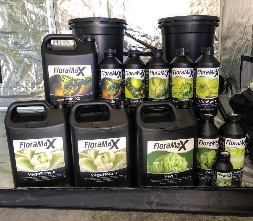Several Bottles of FloraMax Are Lined Up on a Table — Wide Bay Hydroponics In Maryborough, QLD