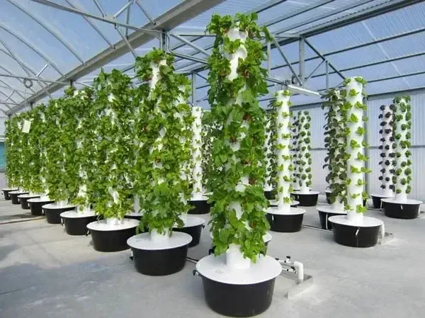 A Man Is Spraying A Plant With A Spray Bottle — Wide Bay Hydroponics In Saint Helens, QLD