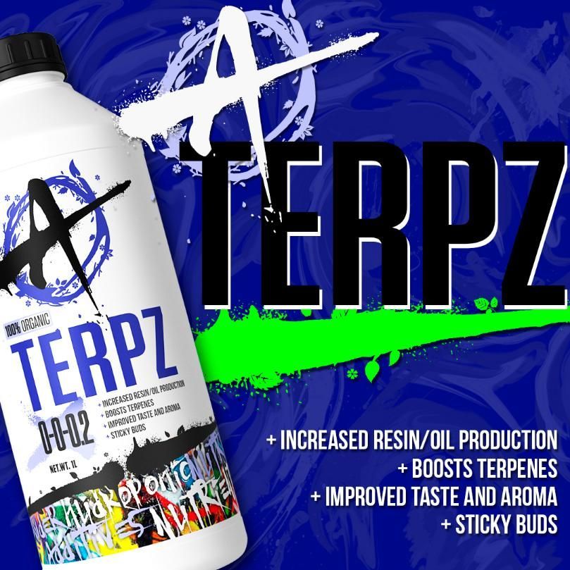 A Bottle Of Terpz On A Blue Background — Wide Bay Hydroponics In Saint Helens, QLD