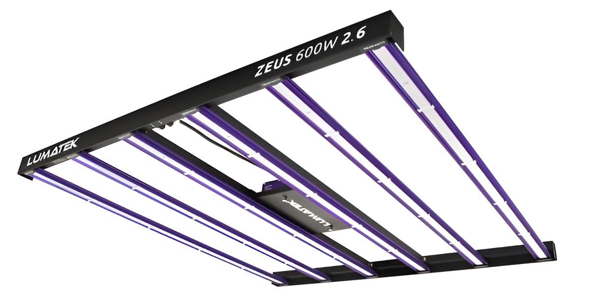 A Purple And White Light Fixture Is Hanging From The Ceiling — Wide Bay Hydroponics In Saint Helens, QLD