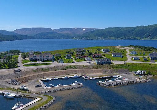 An aerial view of a marina with boats docked in the water.