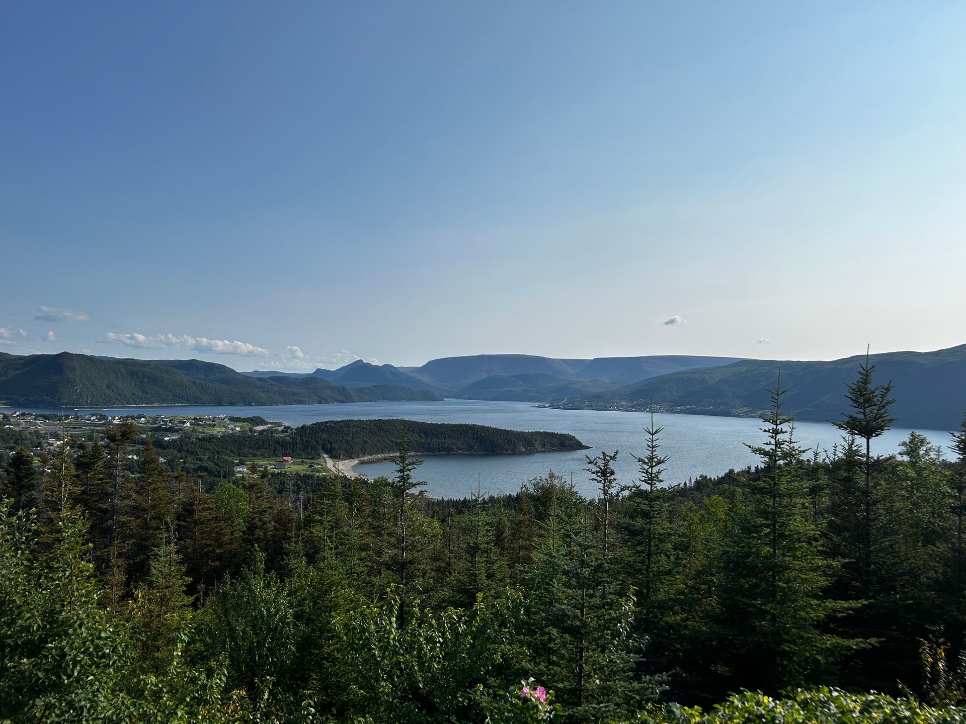 A large body of water surrounded by mountains and trees