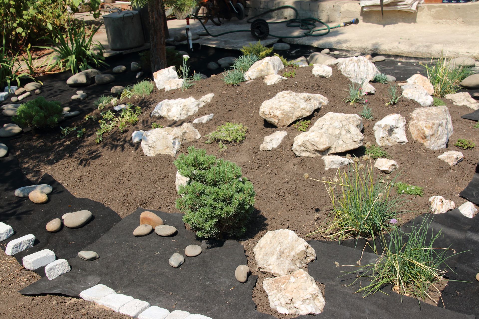 A garden filled with rocks and plants with a wheelbarrow in the background