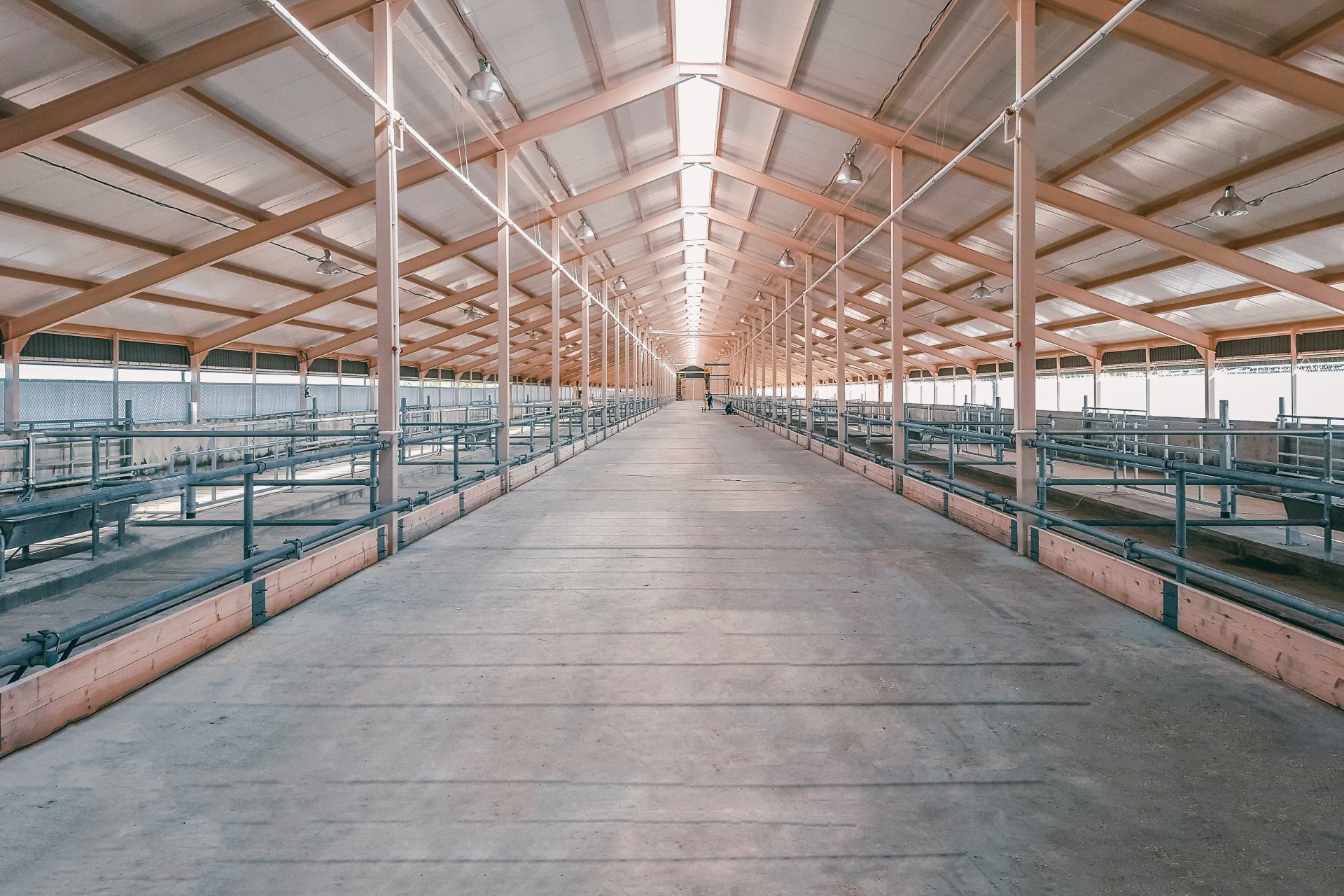 An empty barn with a concrete floor and a wooden roof.
