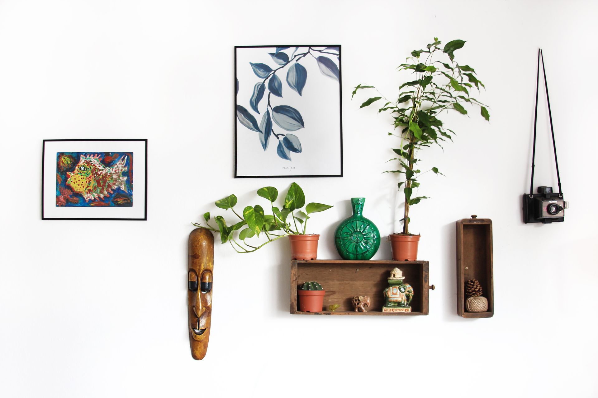 A wall with a shelf filled with potted plants and a camera hanging from it.