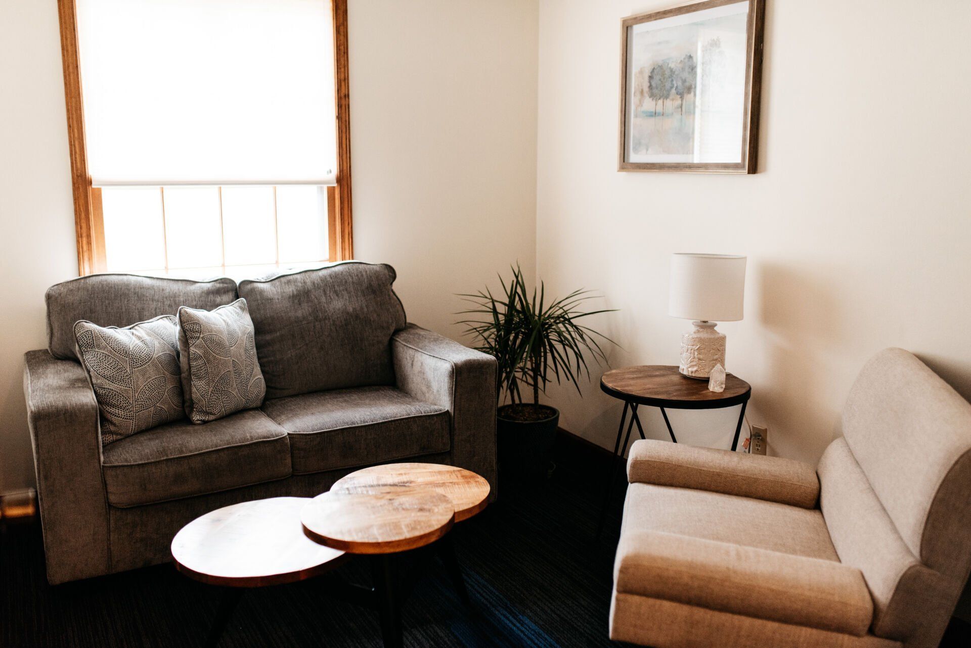 Professional photograph of a living/reception area at the Atma Clinic.