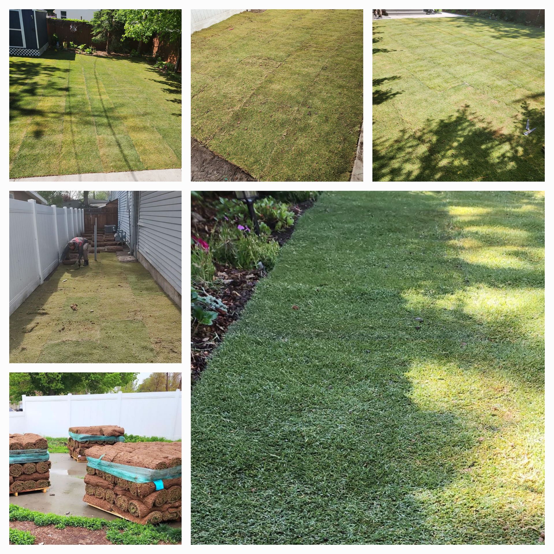Tahoma 31 hybrid Bermudagrass lawn installed in Utah, showcasing drought-tolerant, low-maintenance s