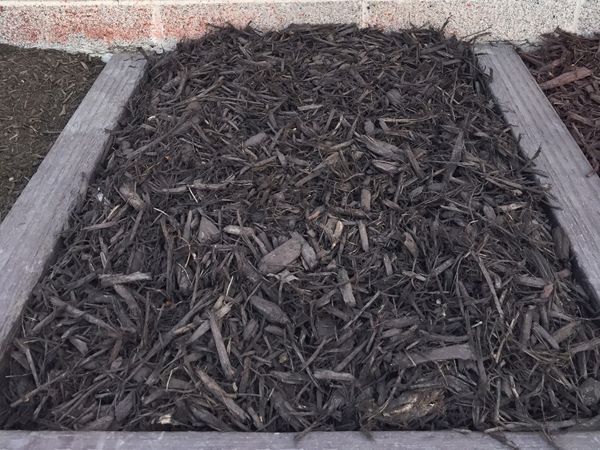 Chocolate Brown Colored Mulch for sale Salt Lake City - Mark's Lawn and Garden Supply