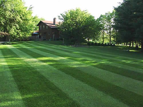 Sod installation in Salt Lake City | Mark's Lawn and Garden