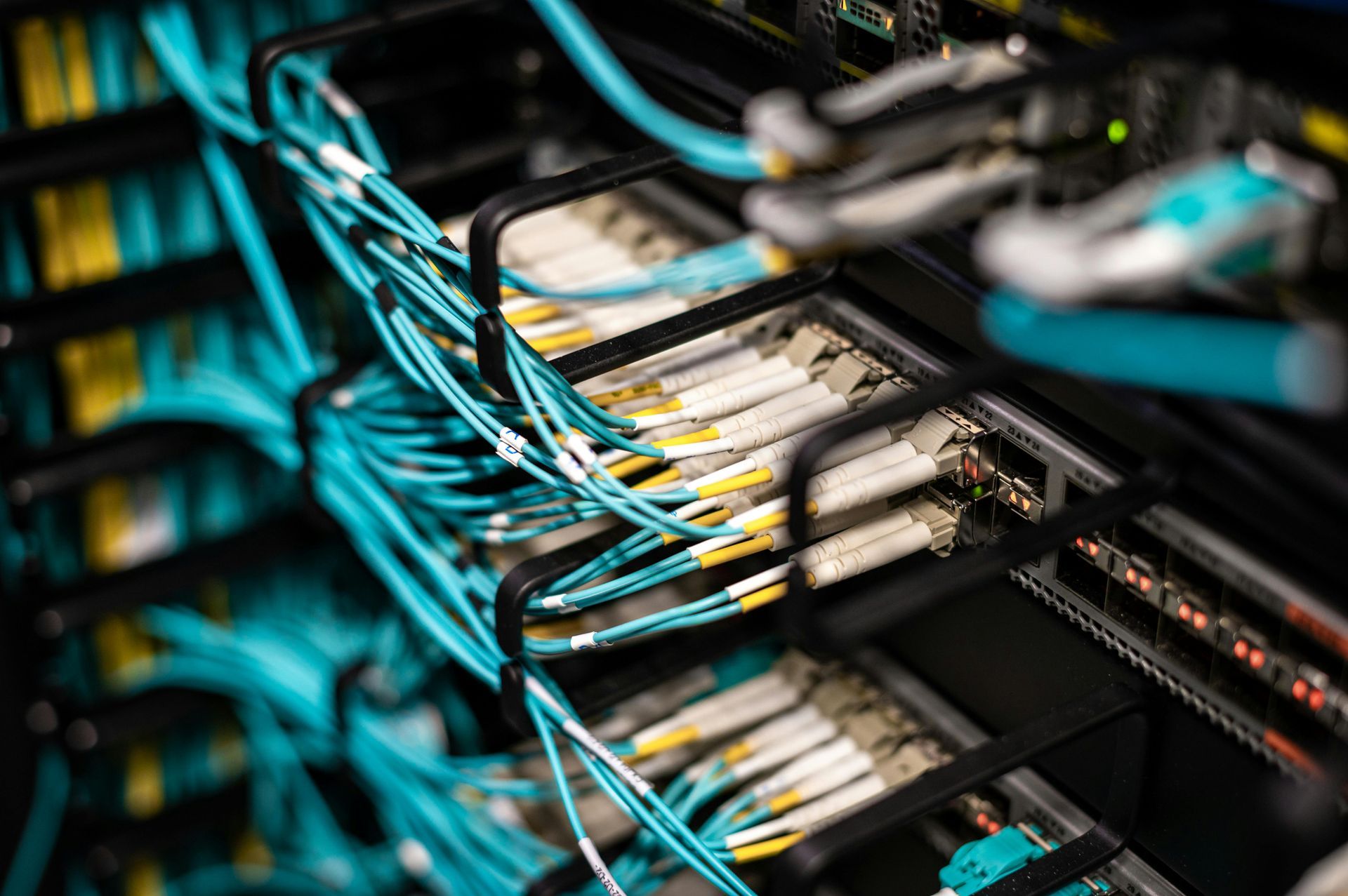 Rows of servers with blue and yellow network cables.