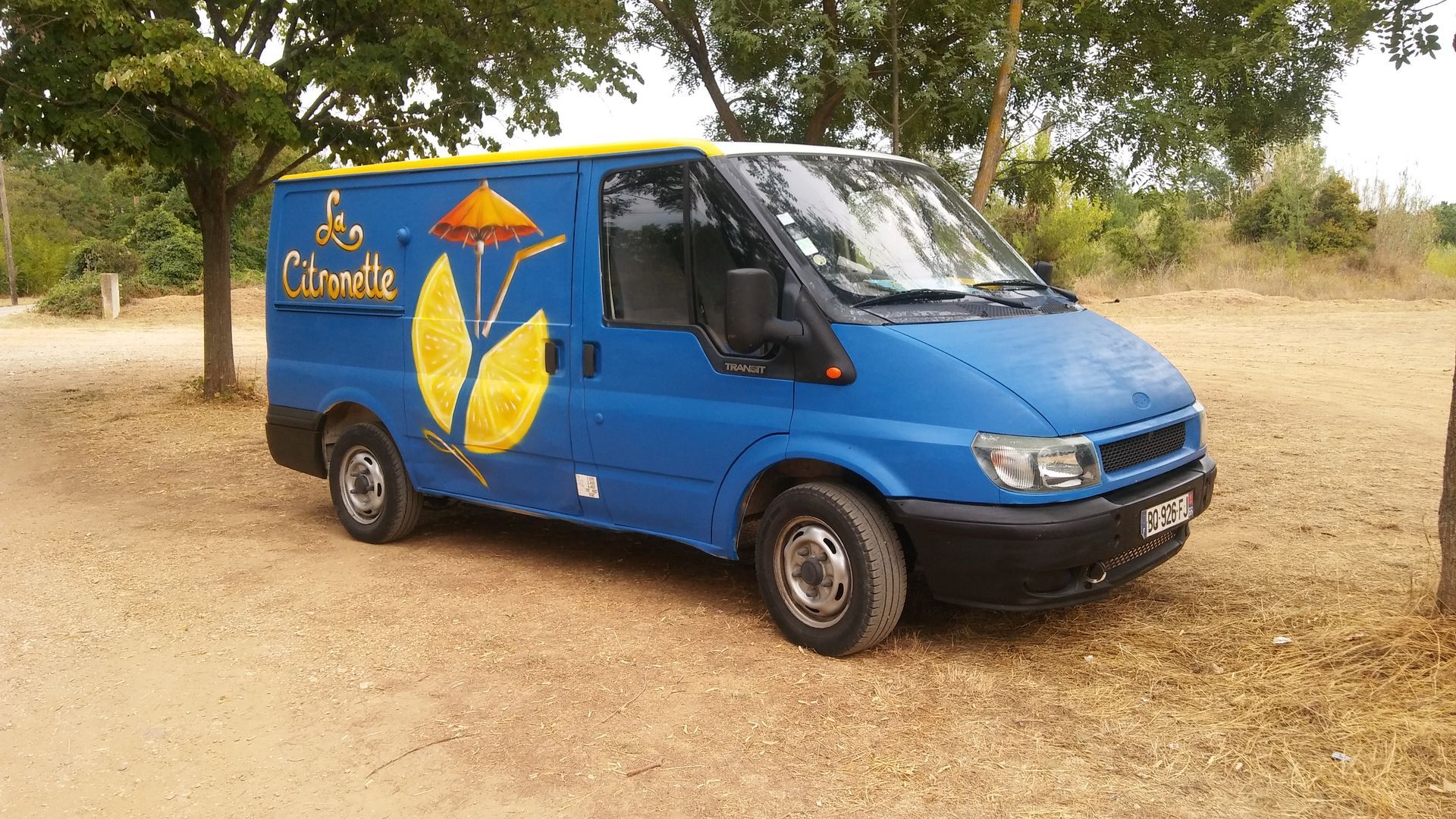 Une camionnette bleue avec une fleur jaune peinte sur le côté est garée dans un champ de terre.