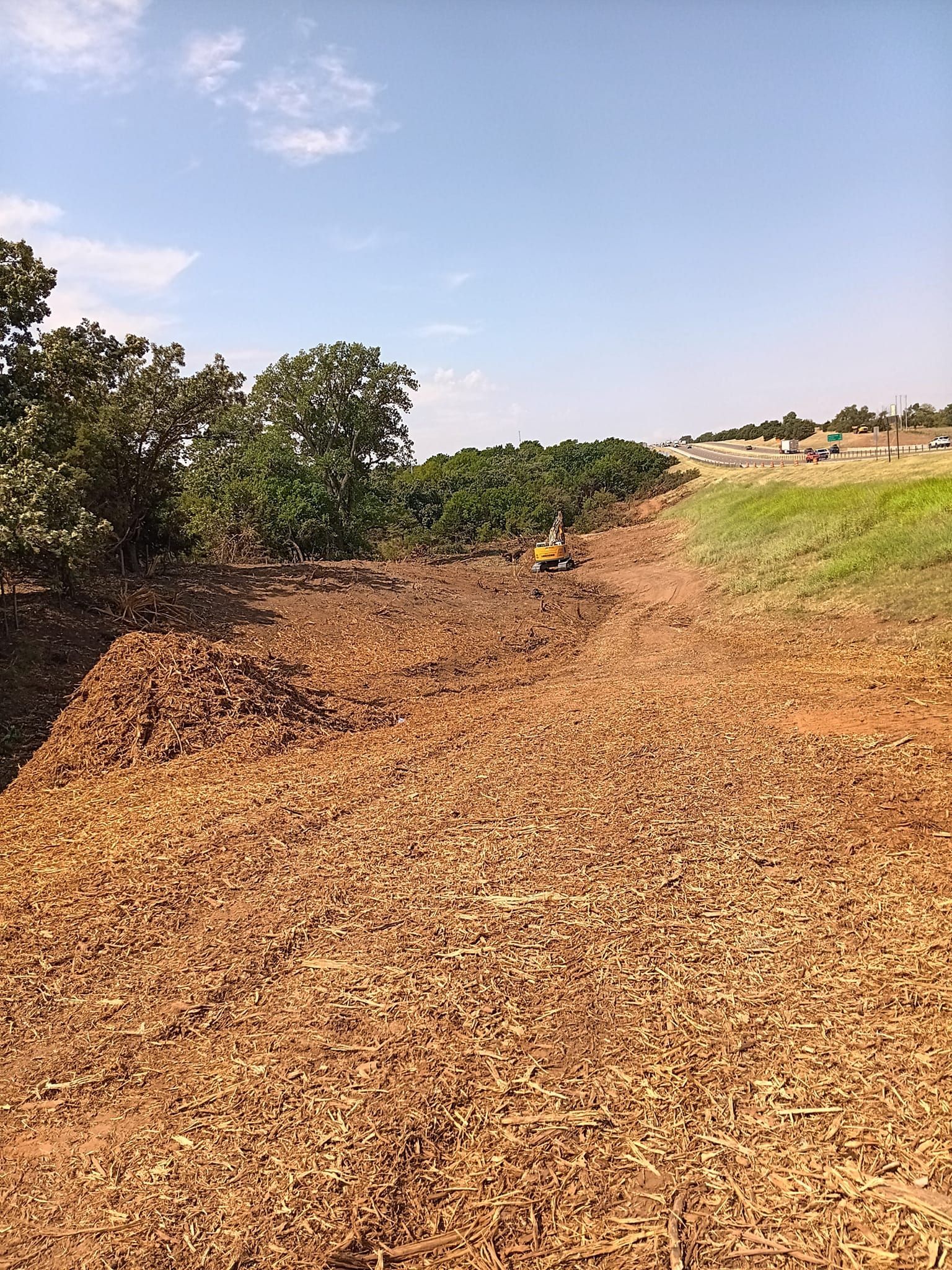A dirt road going through a field with trees in the background.
