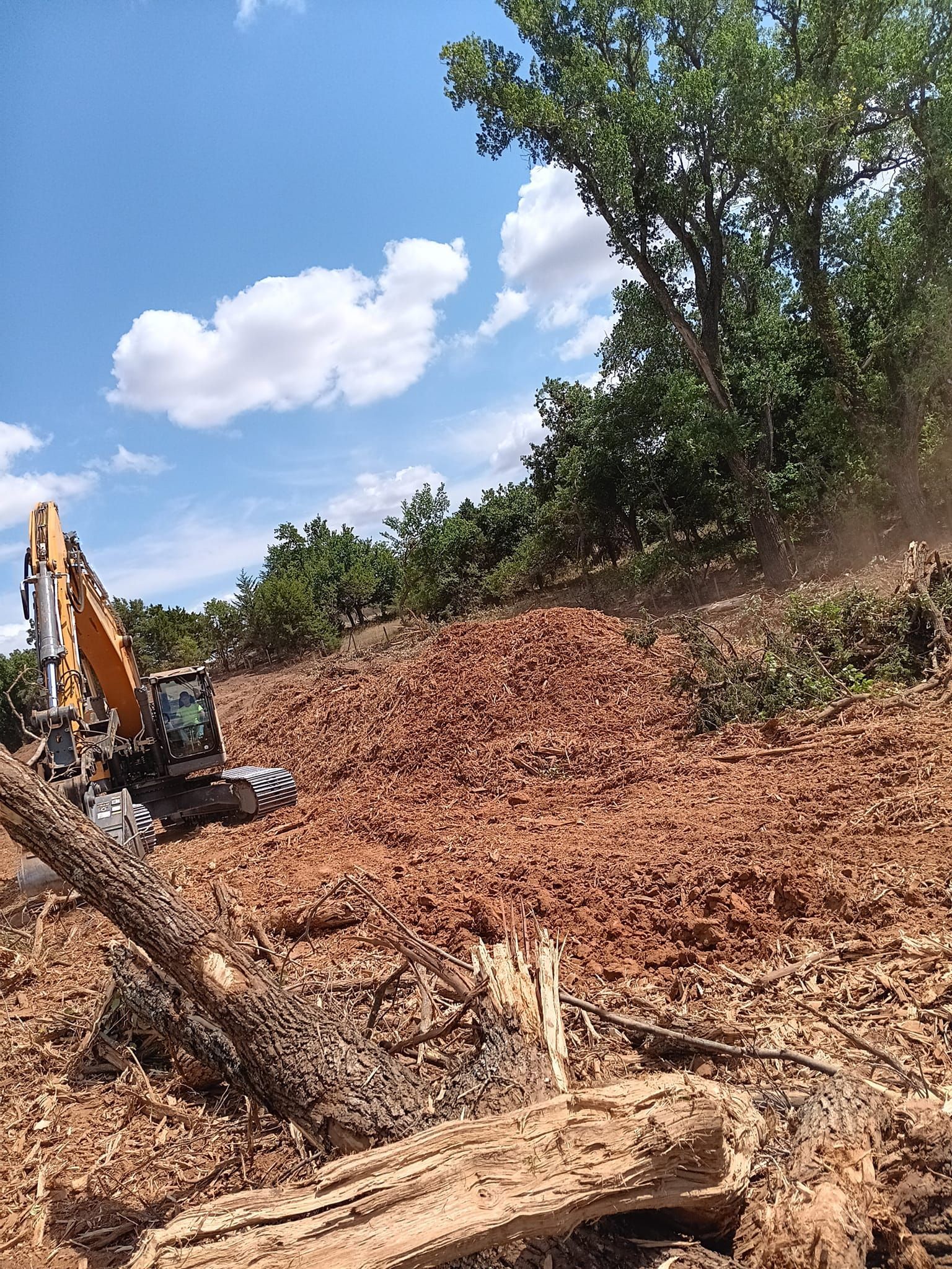 A bulldozer is cutting down trees in a field.