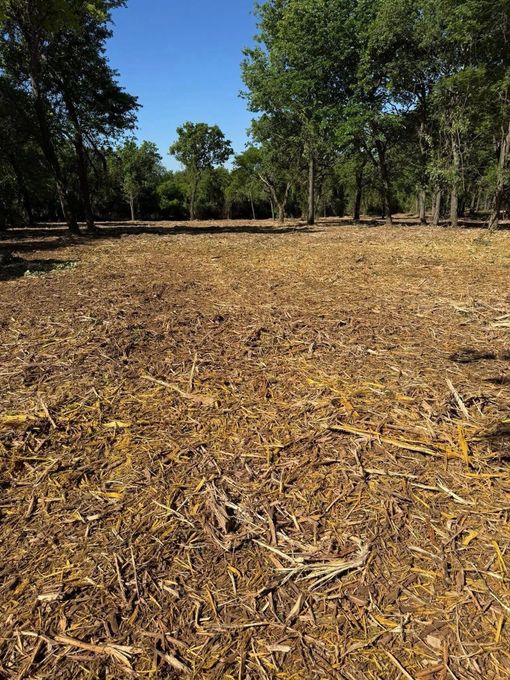 A dirt field with a wooden fence in the background