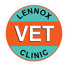 Vet Clinic Lennox Head