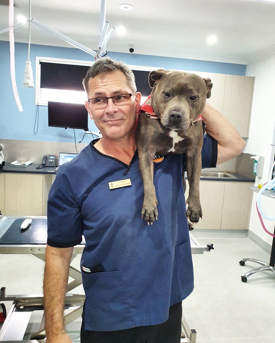 Lennox Head Vet Clinic Meet our team