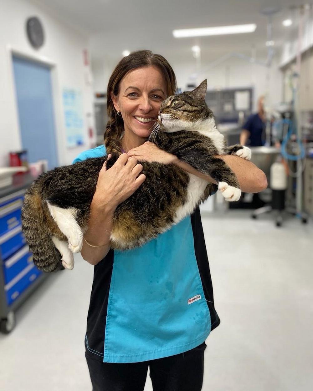 Lennox Head Vet Clinic Meet our team