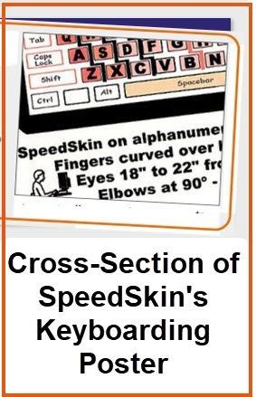 a cross-section of speedskin 's keyboarding poster
