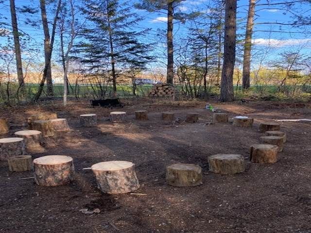A circle of logs in the middle of a forest.