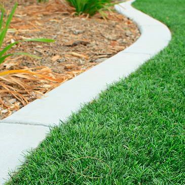 A close up of a lawn with a white curb.