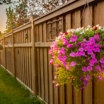 A wooden fence with purple flowers hanging from it.