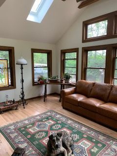 A dog is laying on a rug in a living room next to a couch.