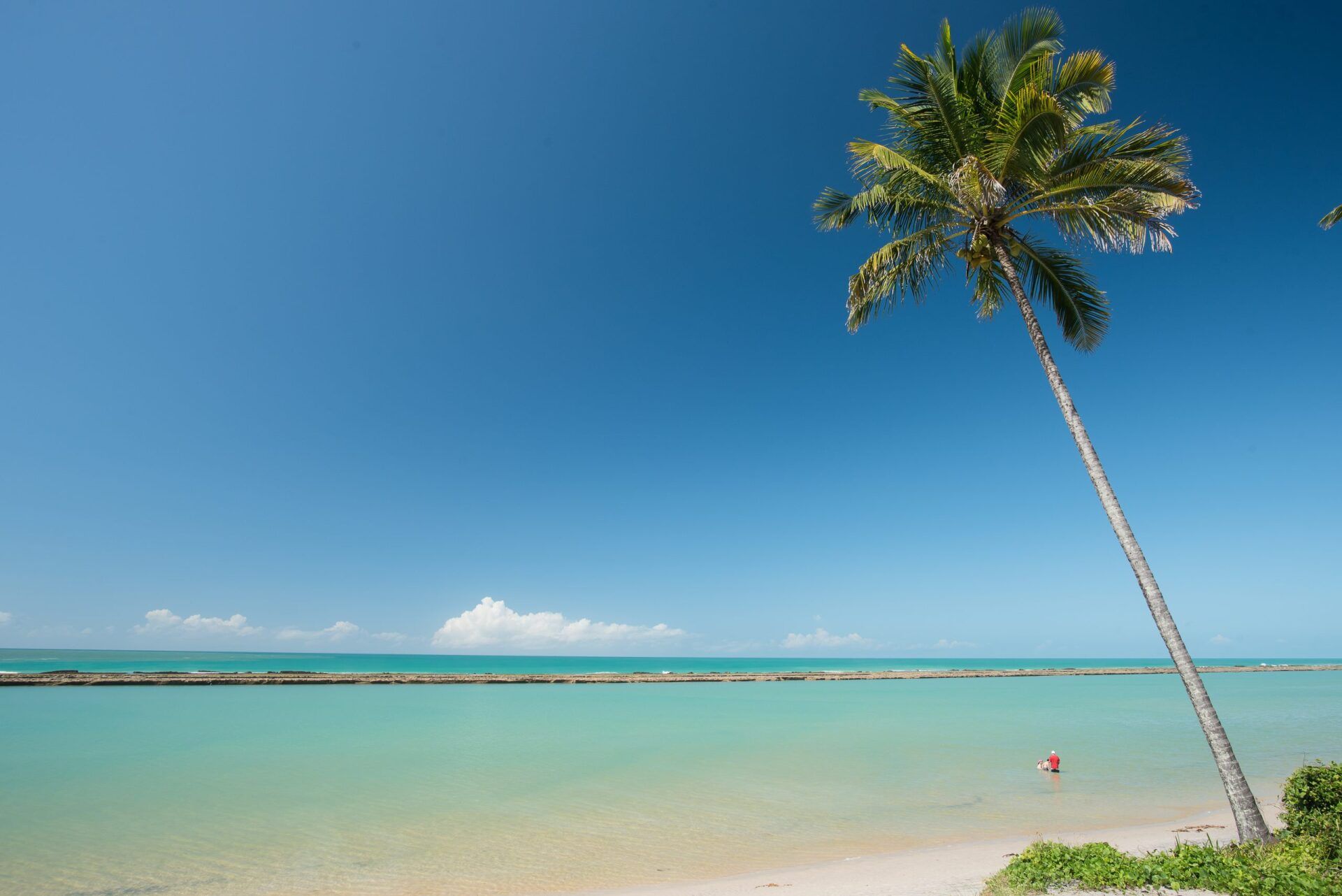 Porto de Galinhas - Ecocharme