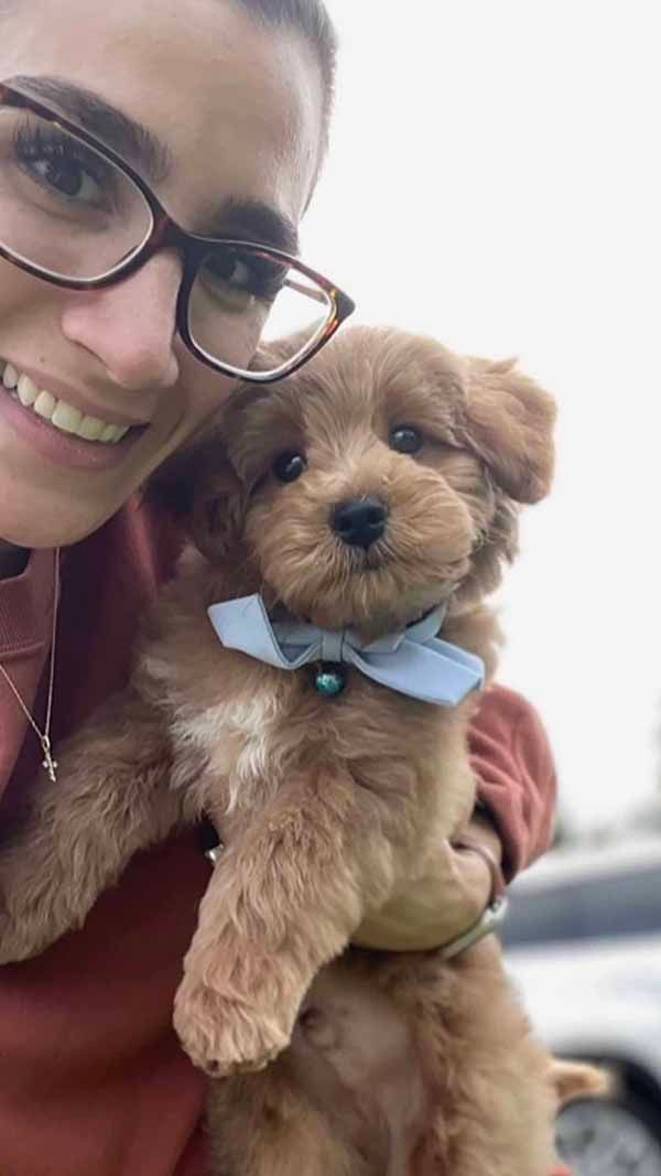 A woman wearing glasses is holding a small brown puppy with a blue bow tie.