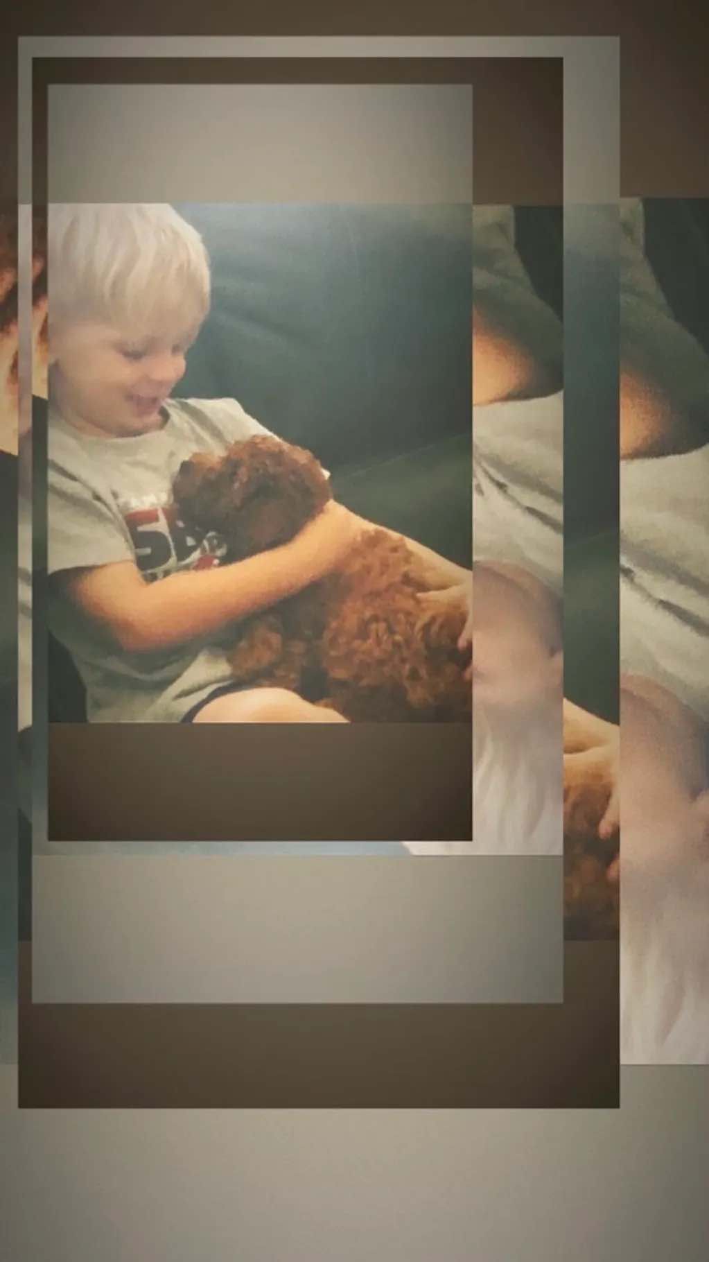 A young boy is holding a puppy on a couch