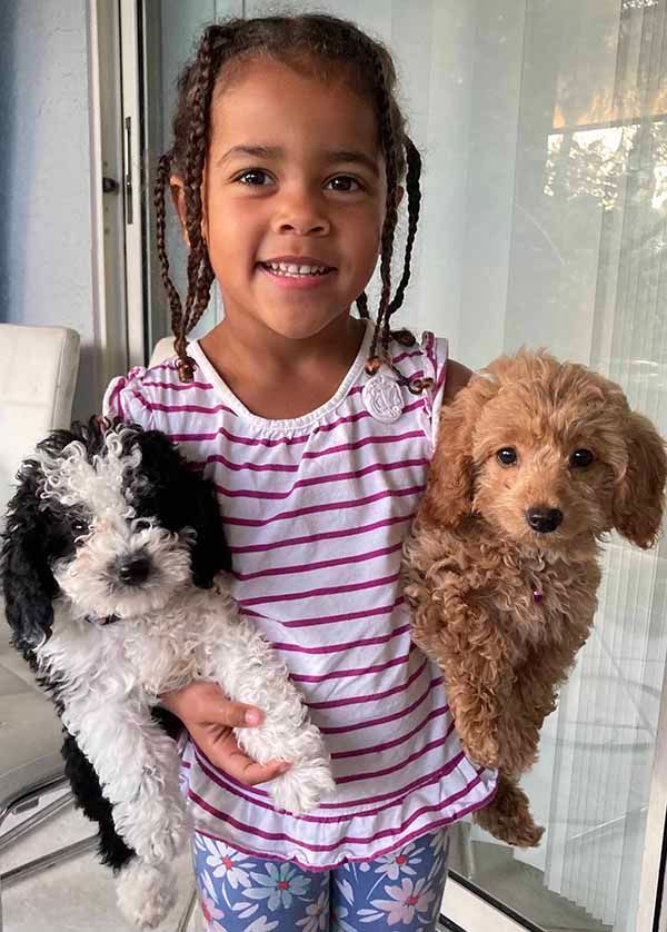 A little girl is holding two puppies in her arms.